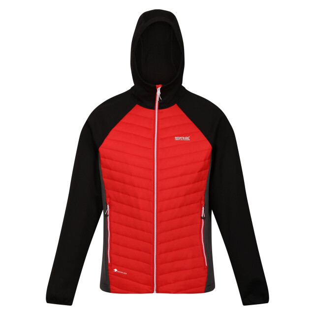 Regatta Heren andreson vii hybride lichtgewicht gewatteerde jas UTRG8078_greengables large