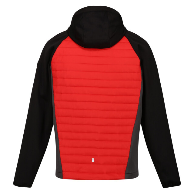 Regatta Heren andreson vii hybride lichtgewicht gewatteerde jas UTRG8078_greengables large