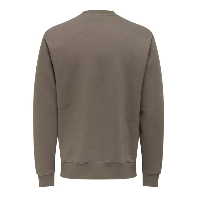 Only & Sons Onsdawson reg crew vd taupe 5209.77.0012 large