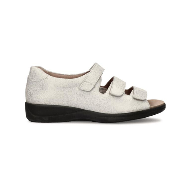 Solidus 73504 73504 Lia large