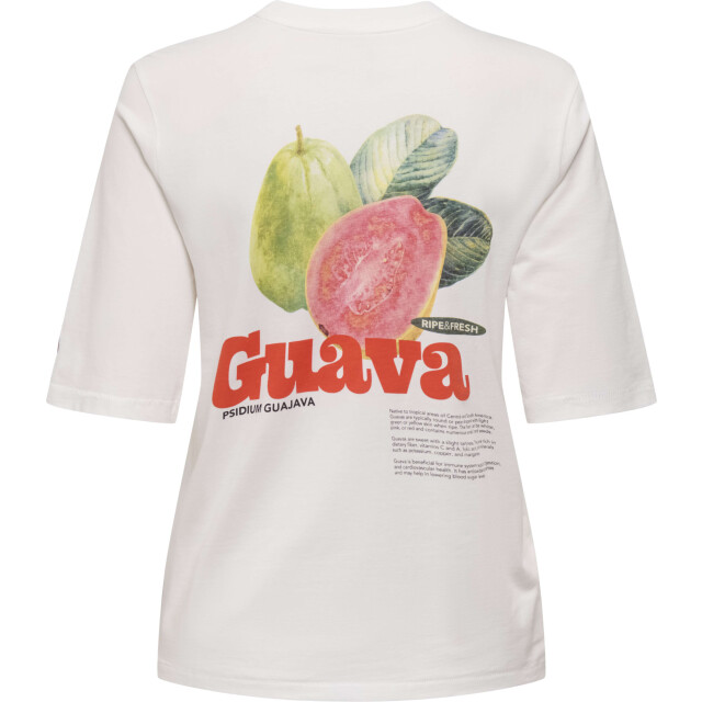 Only Onlphoebe s/s fresh top box jrs cloud dancer/guava 15351369-177922002 large