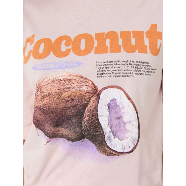 Only Onlphoebe s/s fresh top box jrs mauve chalk/coconu 15351369-187220001 large