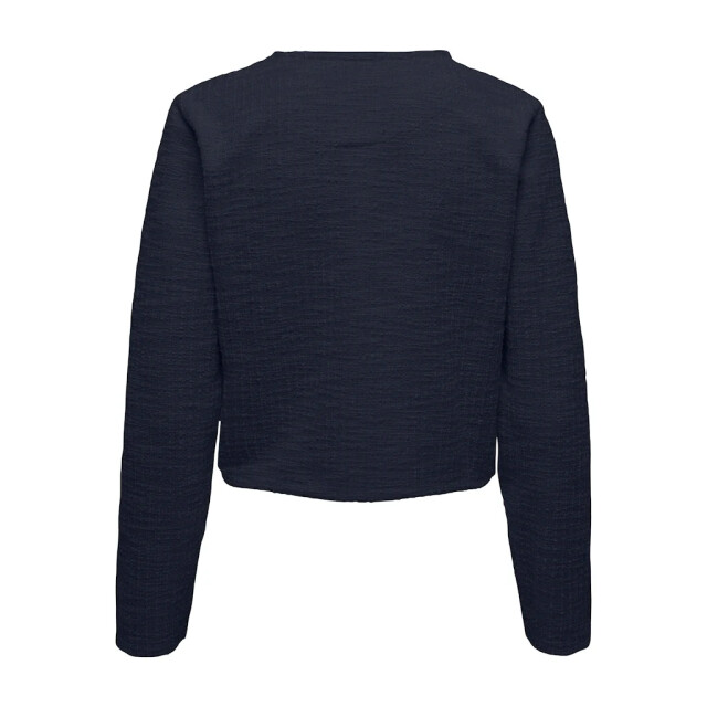 Jacqueline de Yong Ally l/s boucle r 15335684 large