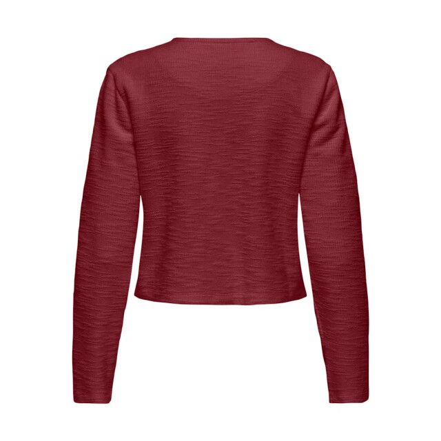 Jacqueline de Yong Ally l/s boucle blazer 15335684 large