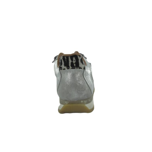 Cetti C848 C848 large