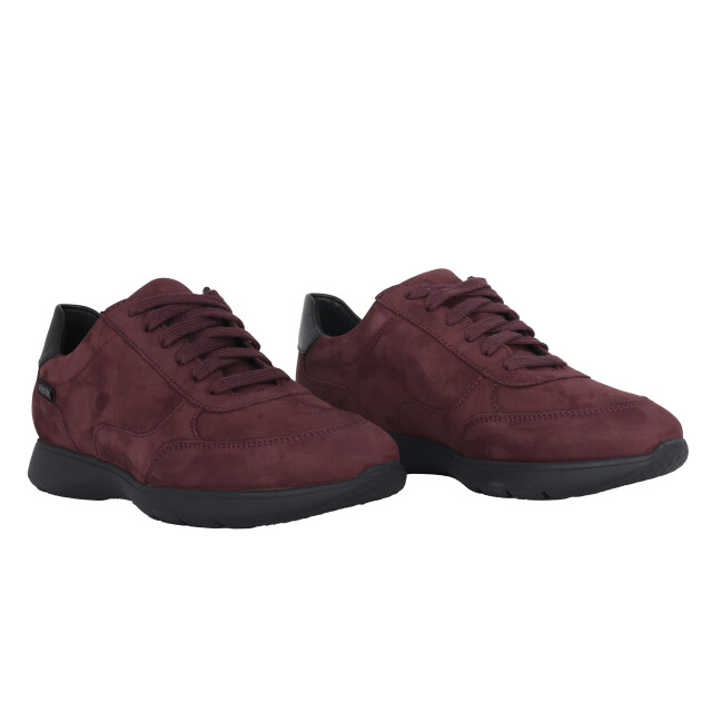 Mephisto Mendy Sneakers Paars Mendy large
