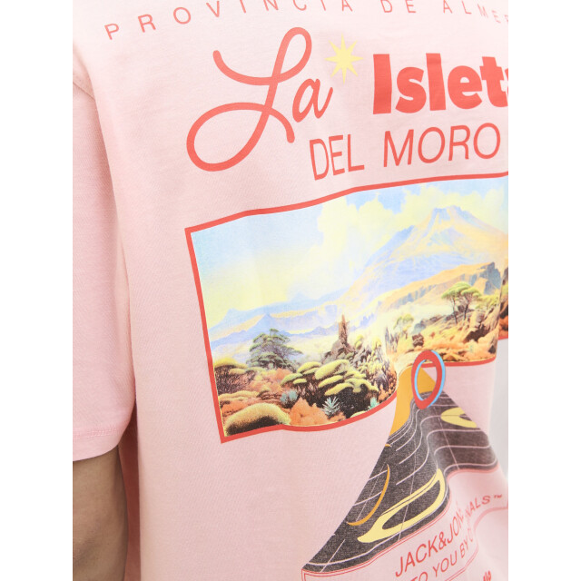 Jack & Jones Heren t-shirt joralmeria relaxed fit ronde hals 12276785-Tickled Pink large