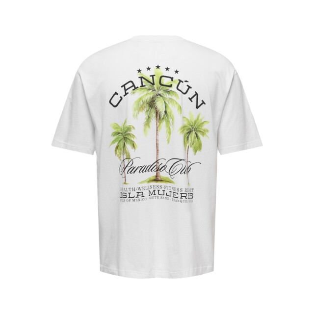 Only & Sons Onskeane rlx ss print tee noos off-white 5339.02.0021 large