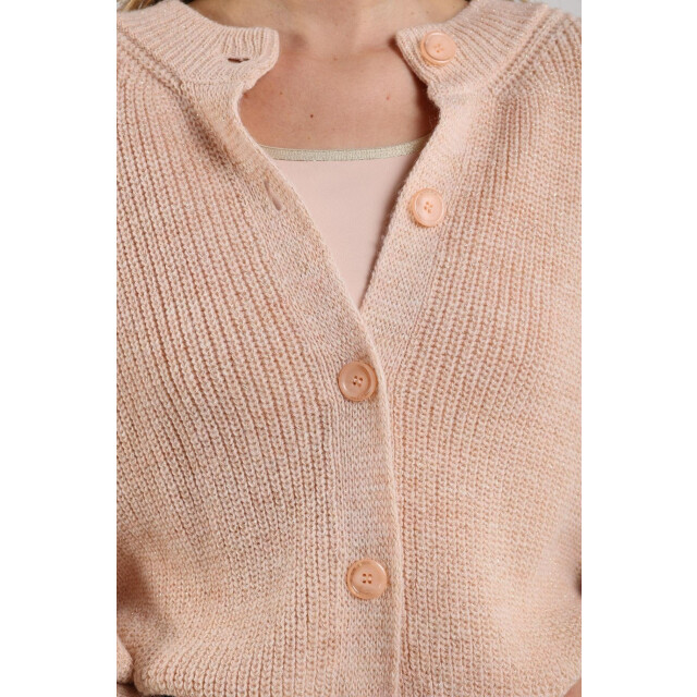 Nukus Nkf05009 266 jess cardigan lurex dusty pink NKF05009 266 large