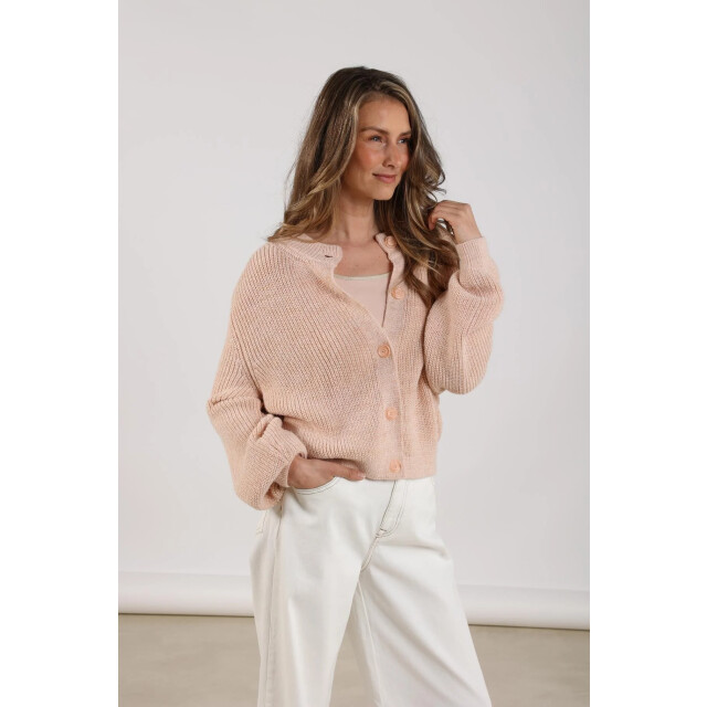 Nukus Nkf05009 266 jess cardigan lurex dusty pink NKF05009 266 large