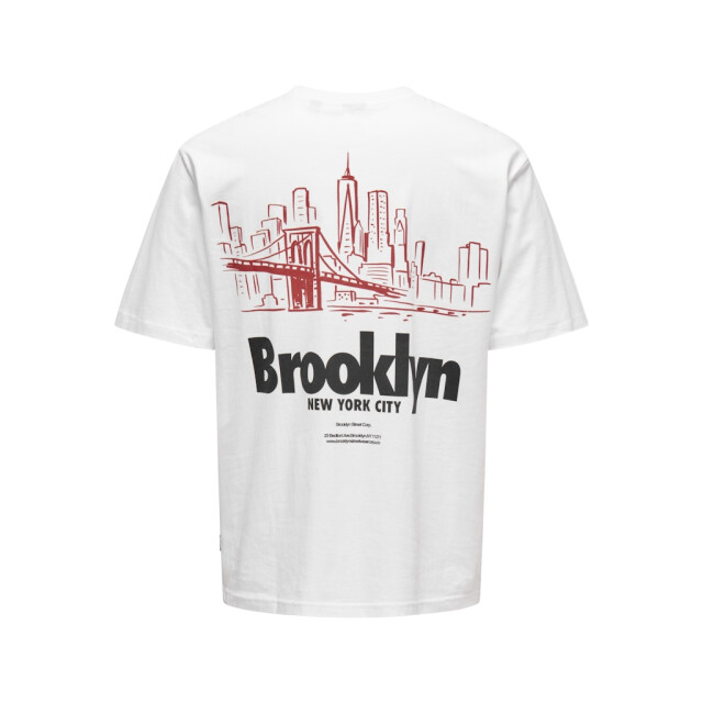 Only & Sons Onskeane rlx ss print tee noos off-white 5339.02.0019 large