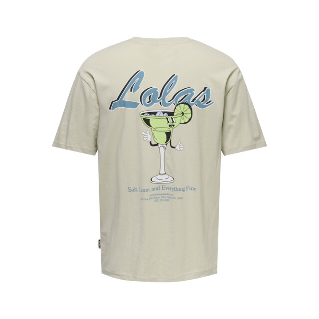 Only & Sons Onskeane rlx ss print tee noos beige 5339.05.0028 large