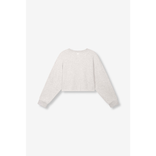 Alix The Label Soft sweater melee 4209.87.0005 large