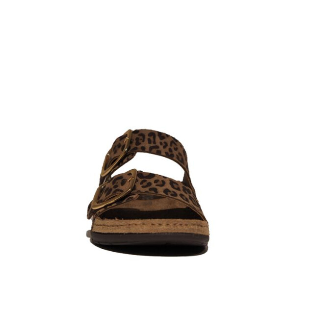 Rohde 5890 5890 large