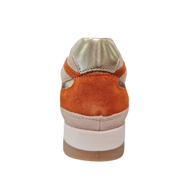 Helioform 281.008 281.008 large
