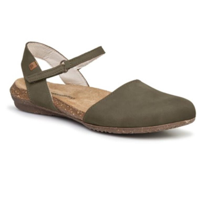 El Naturalista N412-waka n412-waka large