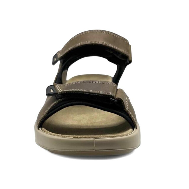 Ara 11-21506 piero 11-21506 Piero large