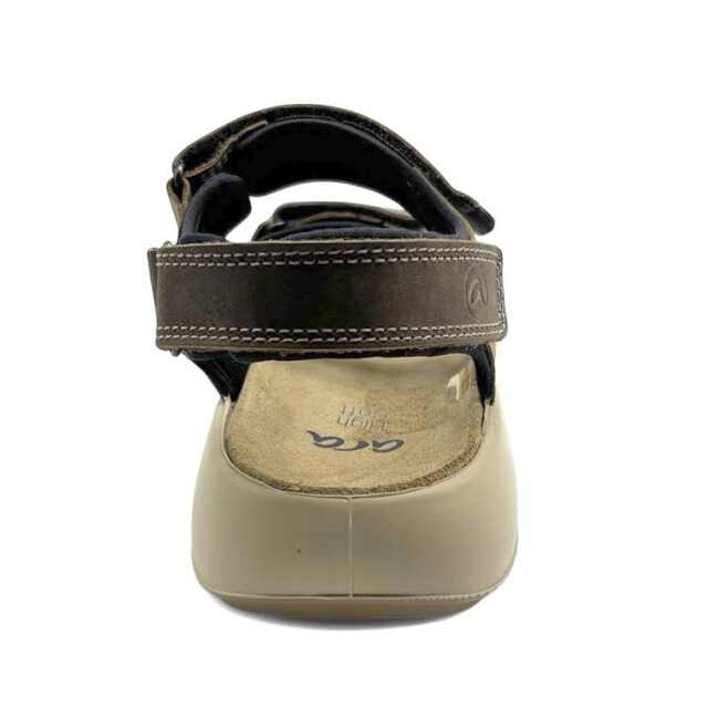 Ara 11-21506 piero 11-21506 Piero large