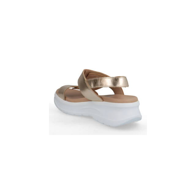 Panama Jack NOOR SHINE B1 Sandalen Goud NOOR SHINE B1 large