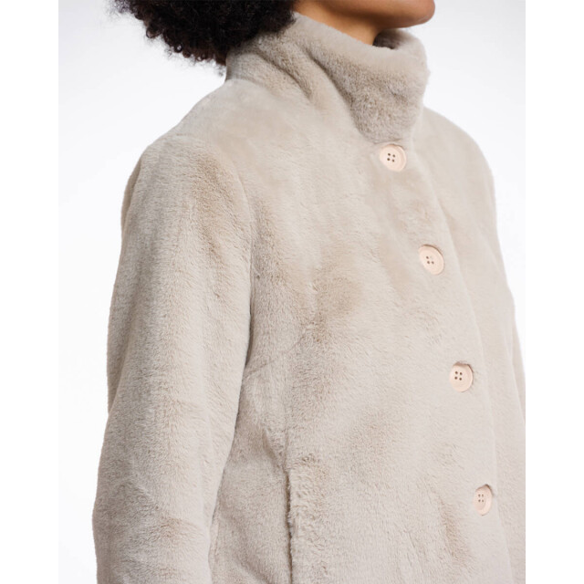 Rino & Pelle Jack vie.7002511 Rino & Pelle Jack Vie.7002511 large