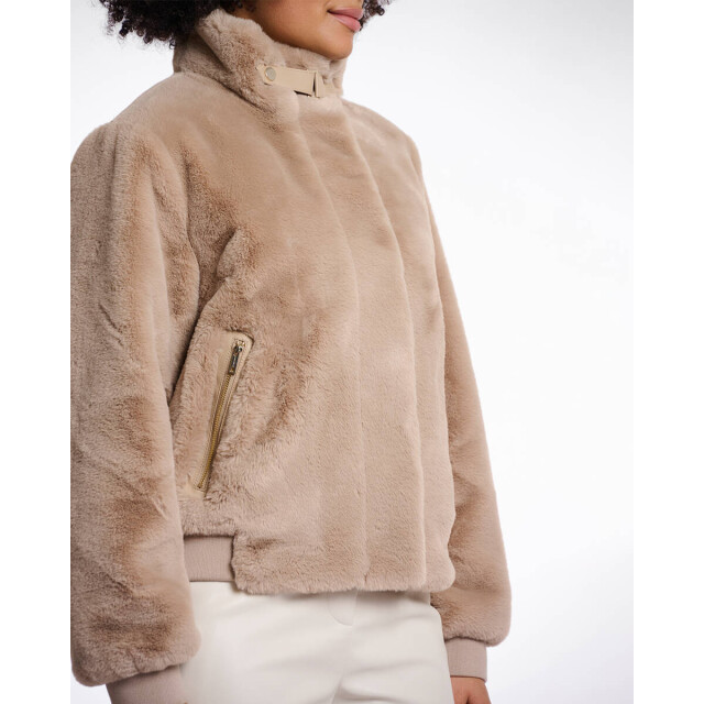 Rino & Pelle Jack ambra.7002511 Rino & Pelle Jack Ambra.7002511 large