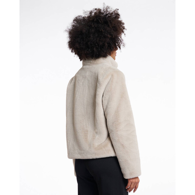 Rino & Pelle Jack vie.7002511 Rino & Pelle Jack Vie.7002511 large