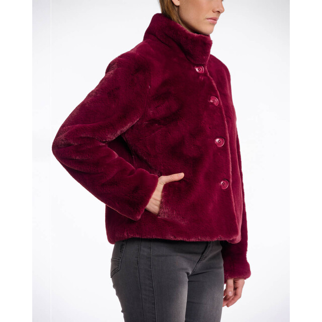 Rino & Pelle Jack vie.7002511 Rino & Pelle Jack Vie.7002511 large