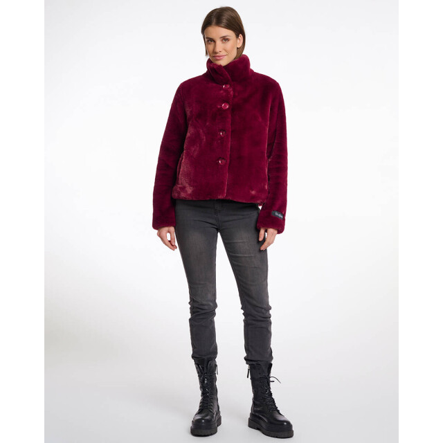 Rino & Pelle Jack vie.7002511 Rino & Pelle Jack Vie.7002511 large