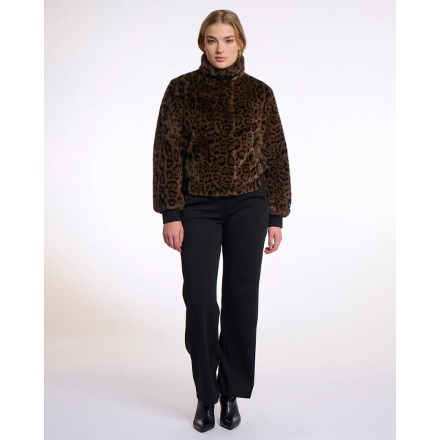 Rino & Pelle Jack ambra.7012511 Rino & Pelle Jack Ambra.7012511 large
