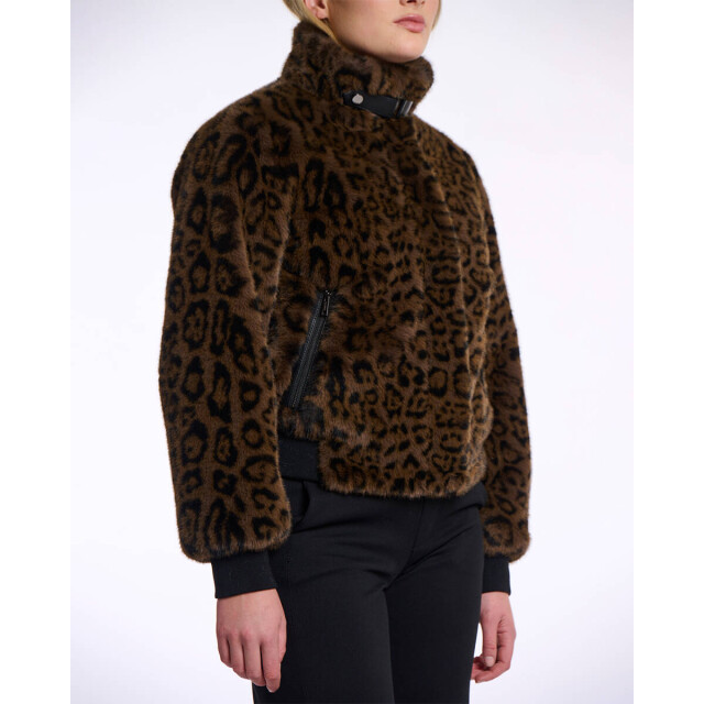Rino & Pelle Jack ambra.7012511 Rino & Pelle Jack Ambra.7012511 large