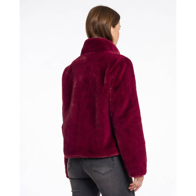 Rino & Pelle Jack vie.7002511 Rino & Pelle Jack Vie.7002511 large