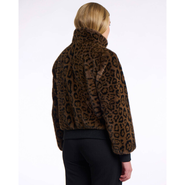 Rino & Pelle Jack ambra.7012511 Rino & Pelle Jack Ambra.7012511 large