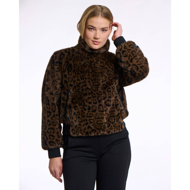 Rino & Pelle Jack ambra.7012511 Rino & Pelle Jack Ambra.7012511 large