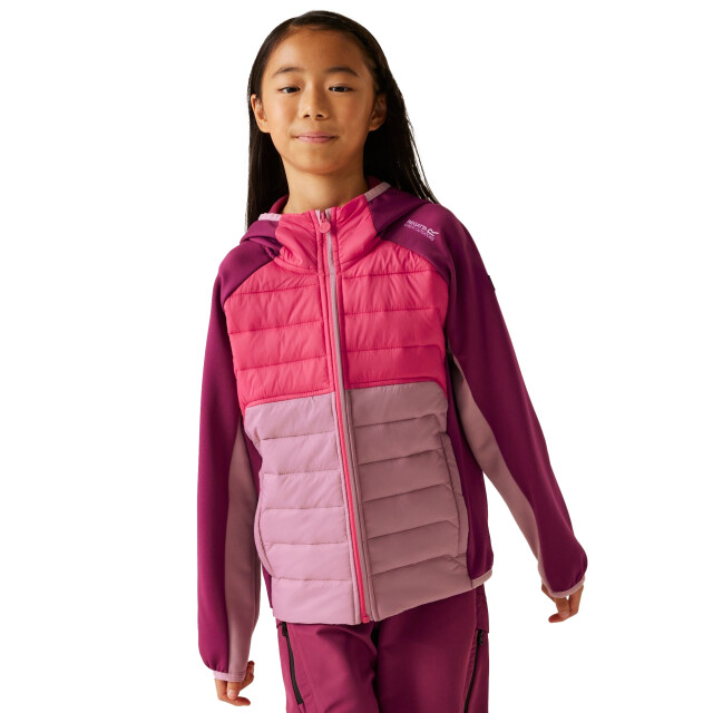Regatta Kinder/kids kielder ix hybride jas UTRG11564_lilaspopbeaujolais large
