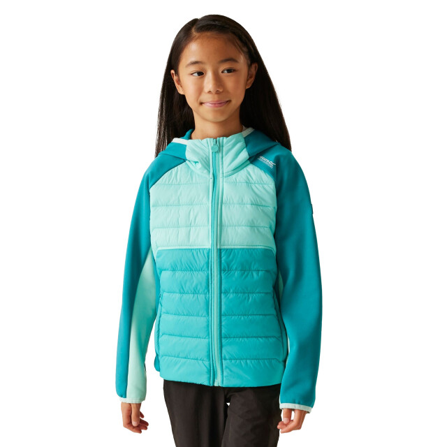 Regatta Kinder/kids kielder ix hybride jas UTRG11564_turquoisearubablueexoticplume large