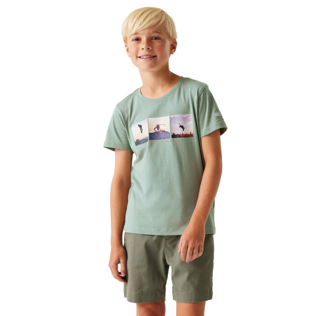 Regatta Kinderen/kinderen bosley viii grafisch t-shirt UTRG11649_glacier large