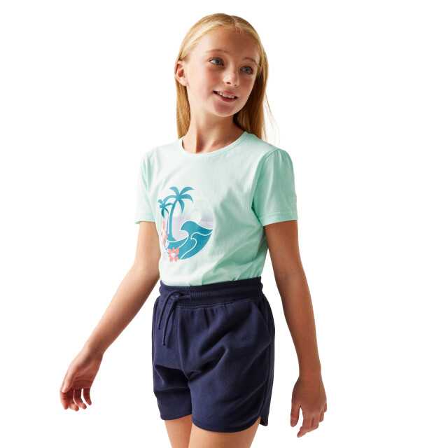 Regatta Kinderen/kinderen bosley viii palmboom t-shirt UTRG11528_icymorn large