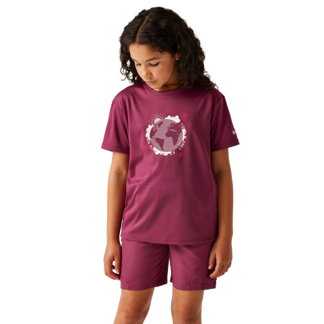 Regatta Kinderen/kinderen alvarado ix aarde t-shirt UTRG11704_beaujolais large