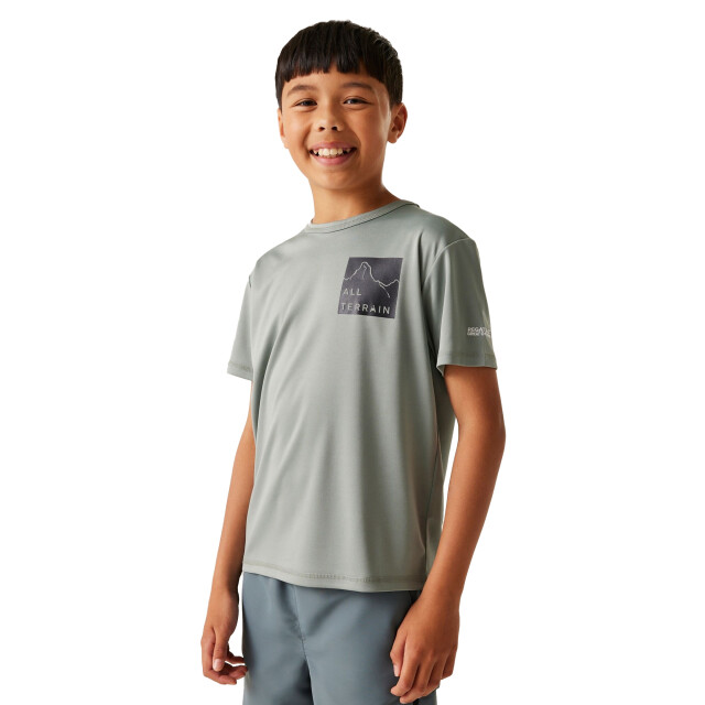 Regatta Kinderen/kinderen alvarado ix berg t-shirt UTRG11675_glacier large