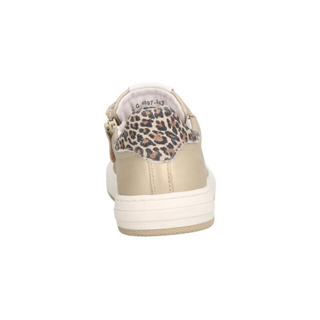 Gattino G6097 wijdte 2,5 G6097 wijdte 2,5 large