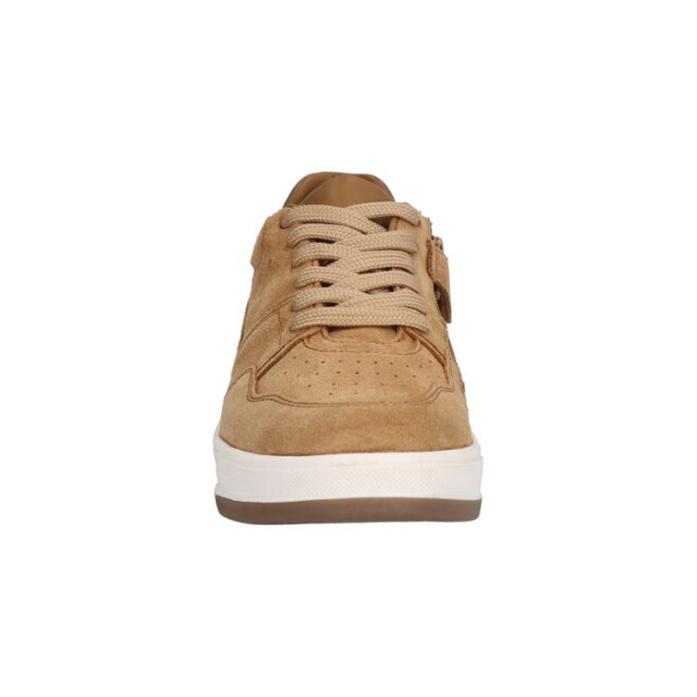 Gattino G1021-242 G1021-242 large