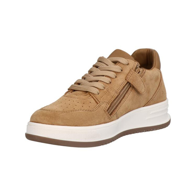 Gattino G1021-242 G1021-242 large