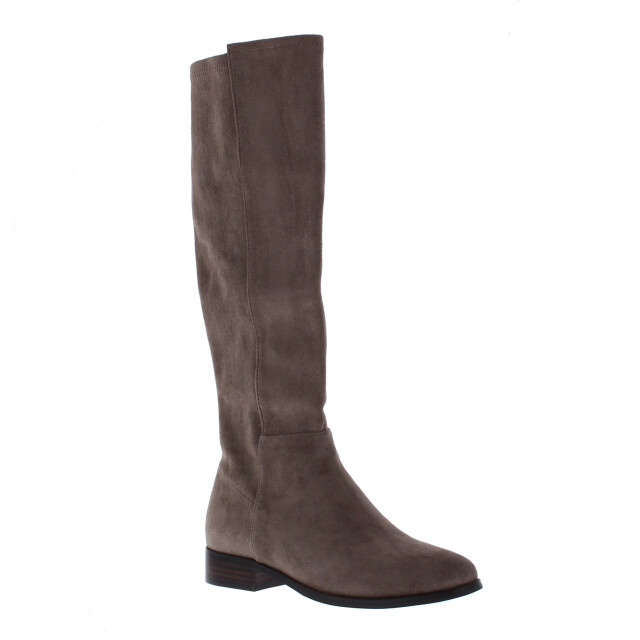 Di Lauro Janine dames laars | dames | maat: | suede 102728 large