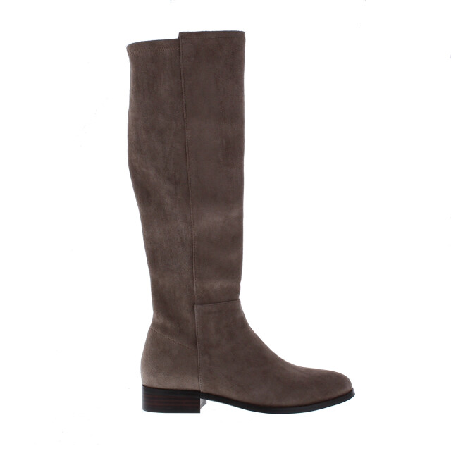 Di Lauro Janine dames laars | dames | maat: | suede 102728 large