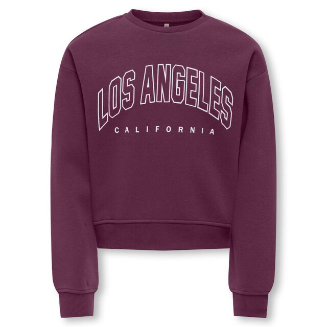 Only Sweat 15353354 kogsweat Kids Only Sweat 15353354 KOGSWEAT large