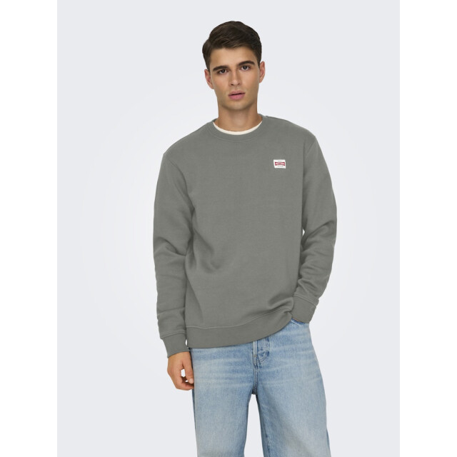 Only & Sons Onsdawson reg crew vd army 5209.26.0009 large