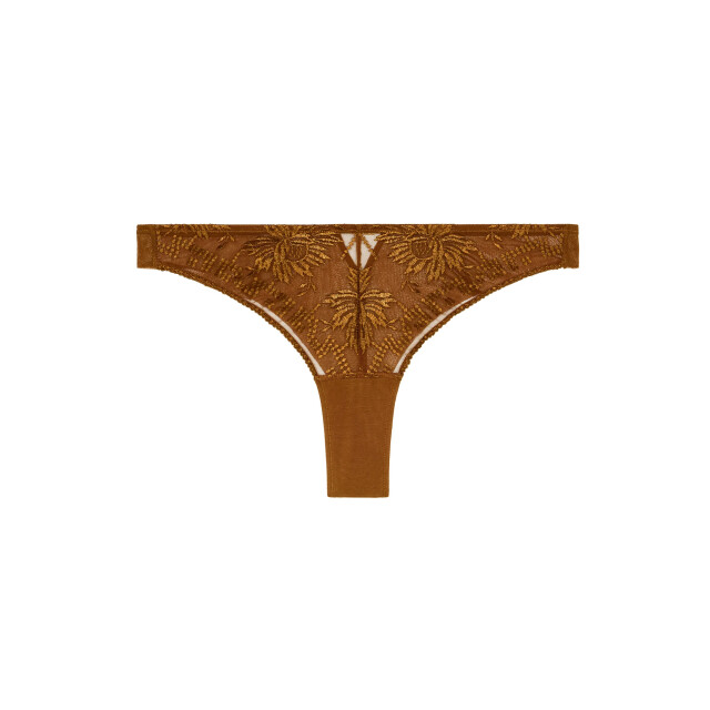 Aubade Tanga rules of attraction 4B26 large