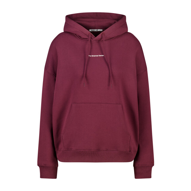 America Today Sterling hood 2212002477 826 large