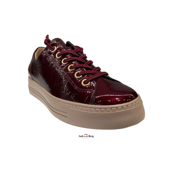 Paul Green 4081 Sneakers Bordeaux 4081 large