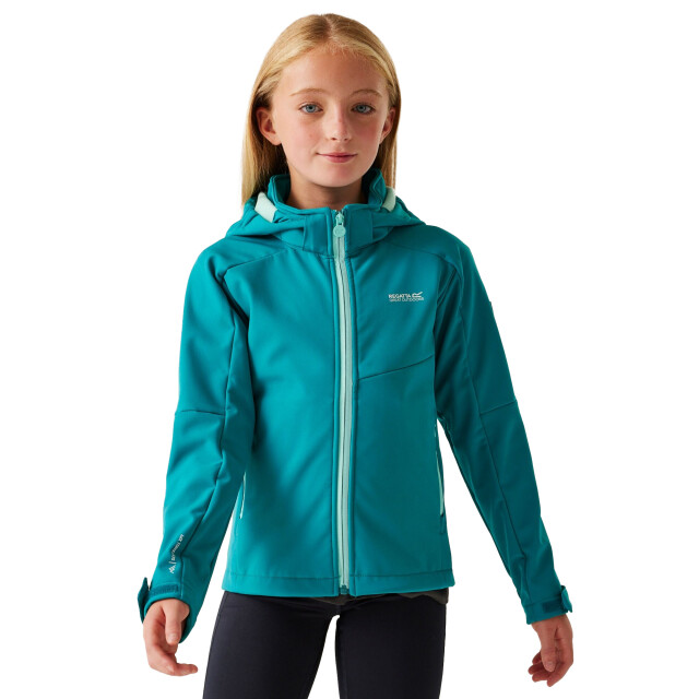 Regatta Kinder/kids acidity viii soft shell jas UTRG11859_exoticplumearubablue large